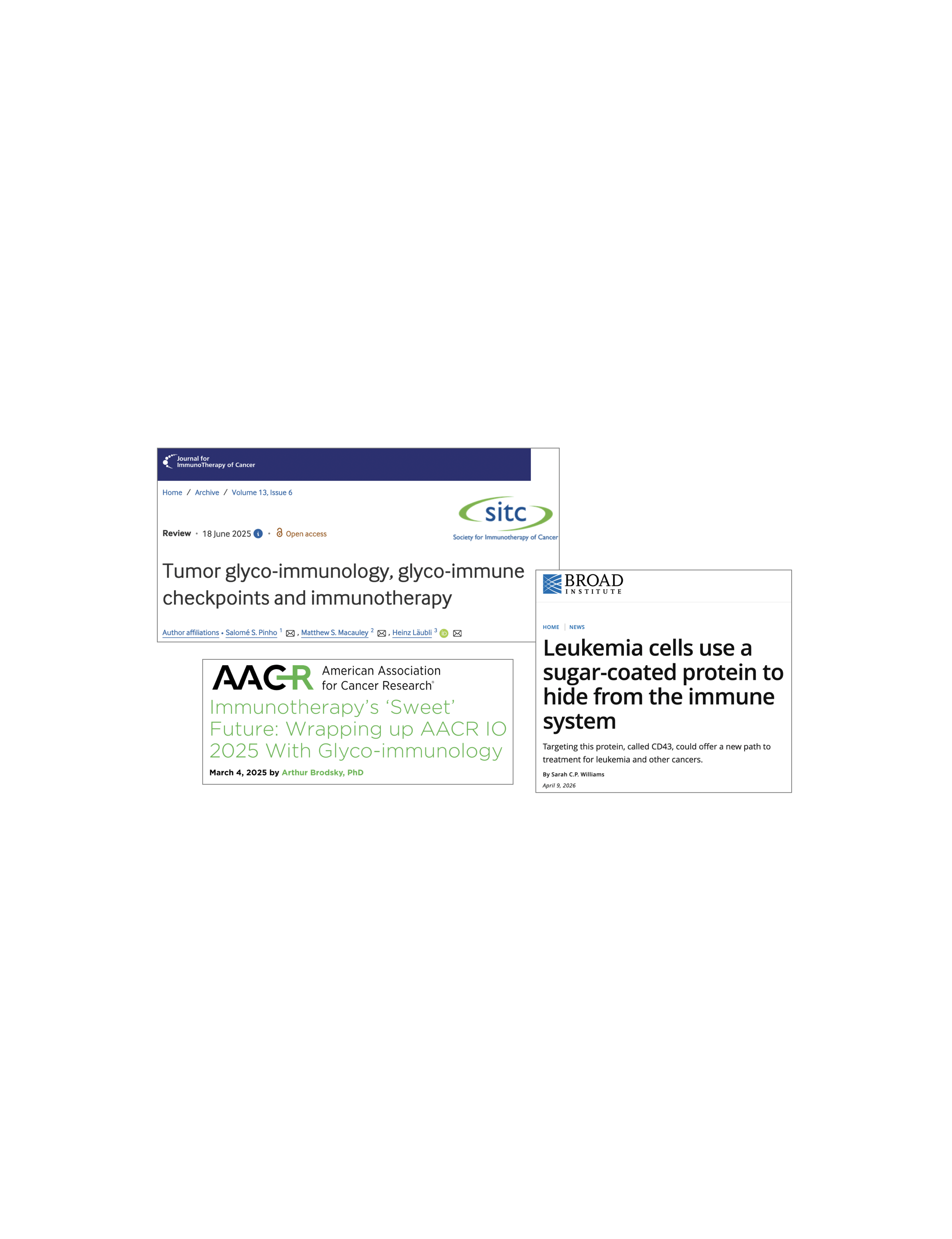 Glycoinformatics meets immunoinformatics